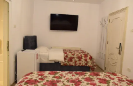 펜시우네아 니콜라스 펠레스 성 주변 호텔