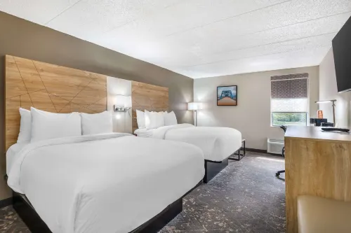 Comfort Inn & Suites Chattanooga-East Ridge 링골드 호텔