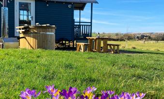 Westfield House Farm