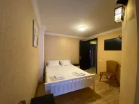 Art Villa Bakuriani Hotels in Bakuriani