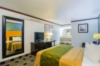 Econo Lodge Hotels in Homewood