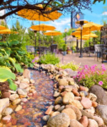 Centerstone Plaza Hotel Soldiers Field - Mayo Clinic Area