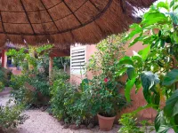 Campement Baobab