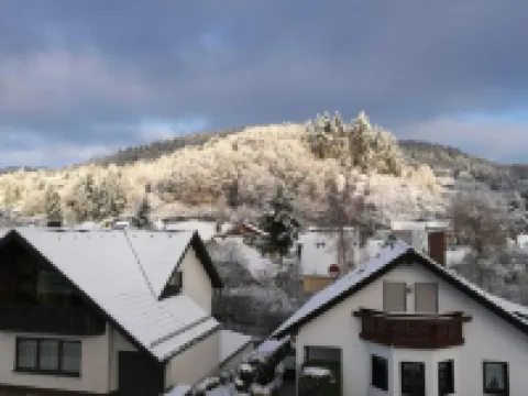 Spacious Flat in Adenau Near the Nürburgring アーデナウのホテル