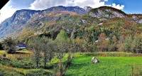 Soča Home with the View