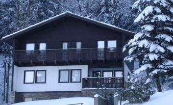 Chalet in Dolní Brusnice Near Ski Lift, Cleaning Included