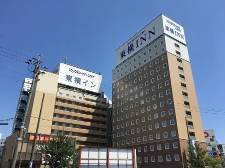 Toyoko Inn Mikawa-anjo-eki Shinkansen Minami-guchi No.1 Отели в г. Андзё