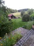 4 apartment on former Farm 'Lindenhof-Bergenhausen', vacation with dog