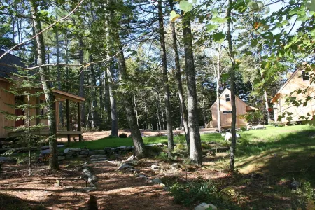 Fall Special 20% Off, Pets Stay Free! Modern Cottages w/Heat & AC