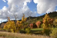 The Hideaway Concealed Cabin @ East Zion & Bryce Hotels in Kane County