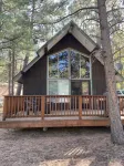 Cute cabin on quiet lot with lots of pines Dog Friendly