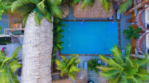 Tropical Palace Hotel - Apartments