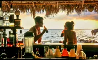 The Westender Inn - Bar