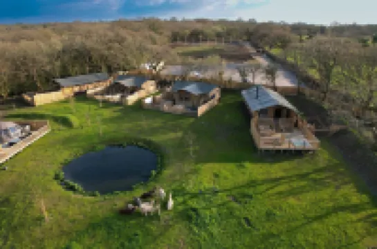 Jungle Book Safari Tent Hotels in Carew