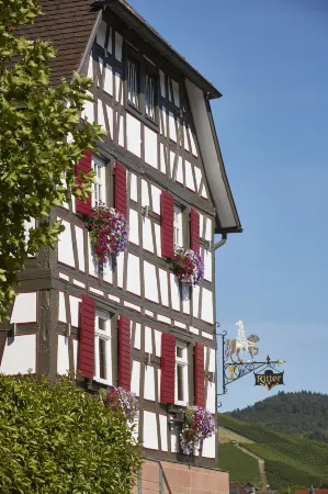 Hotel Ritter Durbach Отели в г. Дурбах