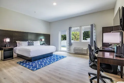 Grant Street Inn Hotels in Dunedin