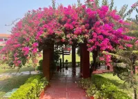 Naturoville Wellness Resort Rishikesh – Surrounded by Nature, Rooted in Wellness Hotel dekat Bandara Dehradun