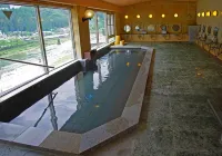 Gero Onsen Yukyunohana Hotels in Gero