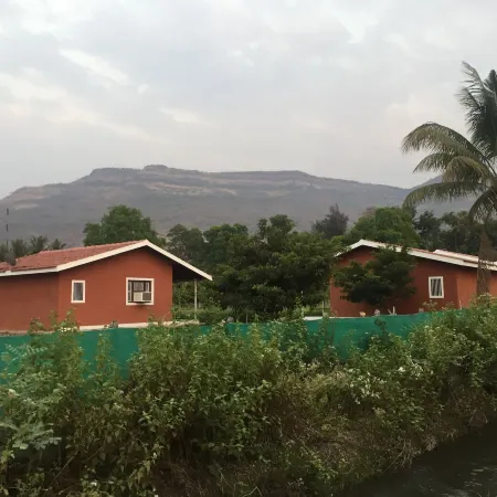 Mango Tree Farm