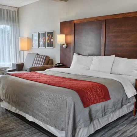 Comfort Inn Ruther Glen Near Kings Dominion