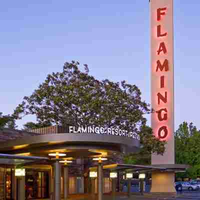 Flamingo Resort & Spa Hotel Exterior