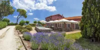 Locanda Rossovino Hotels near Casa Museo Pietro Moschini