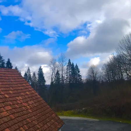 Waldhotel "Peter Aufm Berge"