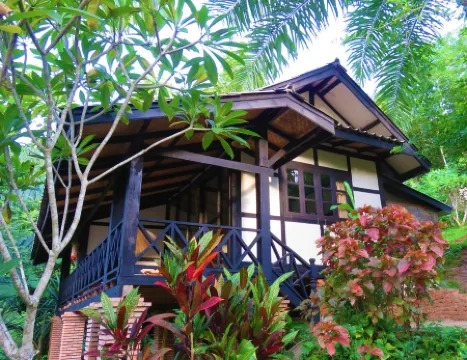 Hillside - Nature Lifestyle Lodge