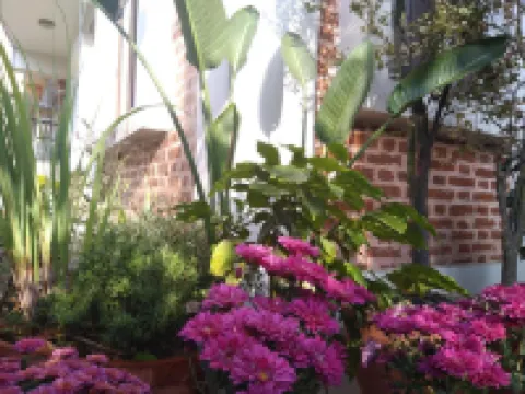 Queen Forest Homestay Hotels in Nagarjun