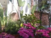 Queen Forest Homestay