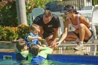 BIG4 Tasman Holiday Parks - Rowes Bay - Beach