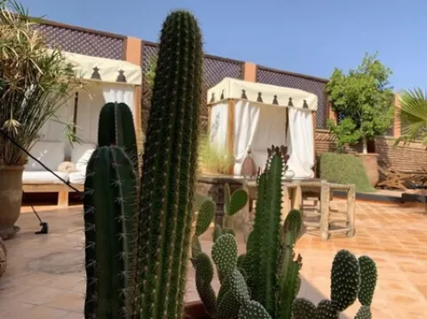 帕拉西奧代拉斯愛斯匹西亞斯摩洛哥傳統庭院住宅