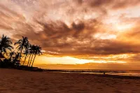 Lotus Muine Resort & Spa - Ocean View