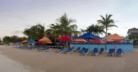 Negril Palms - en bord de mer
