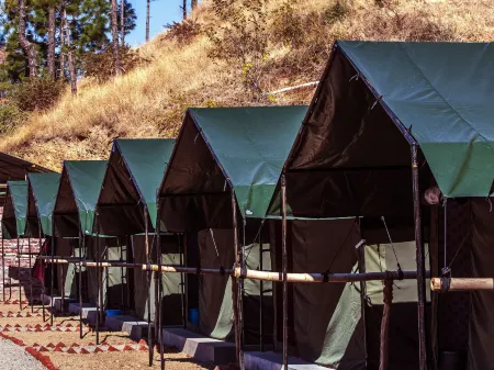 Jungle Stays Отели в г. Солан