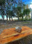 Hostel the ranch Hotels in Maipu Department