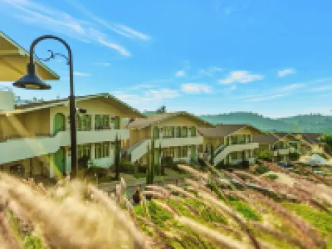 Mango Hill Shola Ooty Hotels in Ooty