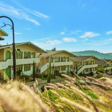 Mango Hill Shola Ooty