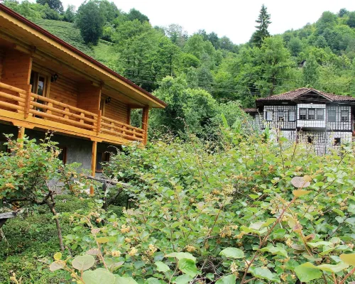Satiroglu Konagi Hotels in Fındıklı