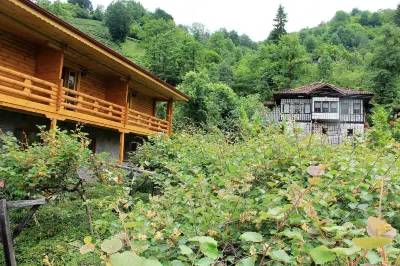 Satiroglu Konagi Hotels in Arhavi