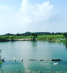 Lotus House
