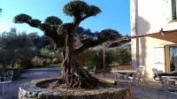 L'Escale Provençale Hotel di Fayence