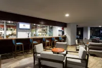 韋拉克魯斯希爾頓逸林飯店 - 酒吧