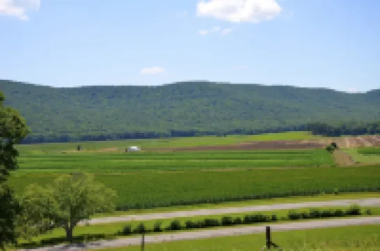 マウンテン コーヴ ファームス リゾート