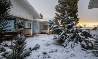 Arctic Resort Delight