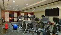 Radisson Blu Jaipur - gimnasio