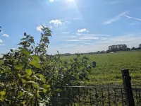 Vacation home Klopfer - space for 6 people and two dogs, 10 minutes to the beach Hotels in Harlesiel