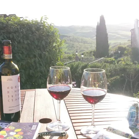 House with Private Garden in the Crete Senesi