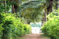 Joeshomestay Hotels near Hebbe Falls