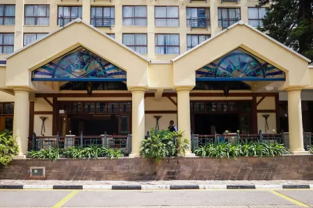 Sarovar Portico印度的蒼鷺